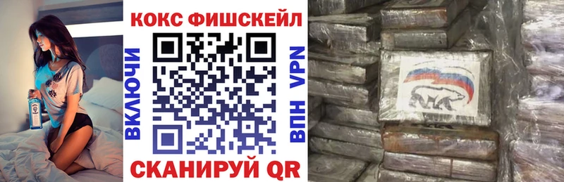 Купить закладки  Усолье  Cocaine FishScale 