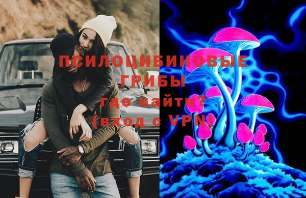 спайс Карталы