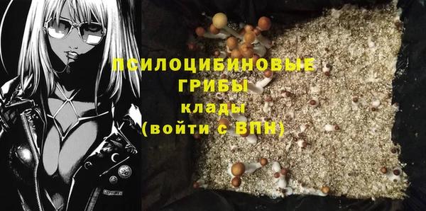 спайс Карталы