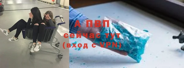 jwh Карпинск