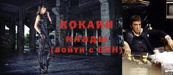 jwh Карпинск