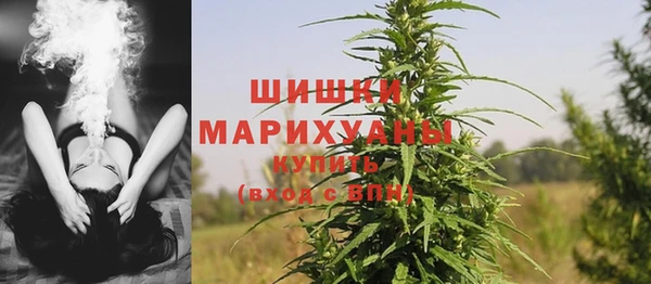 jwh Карпинск